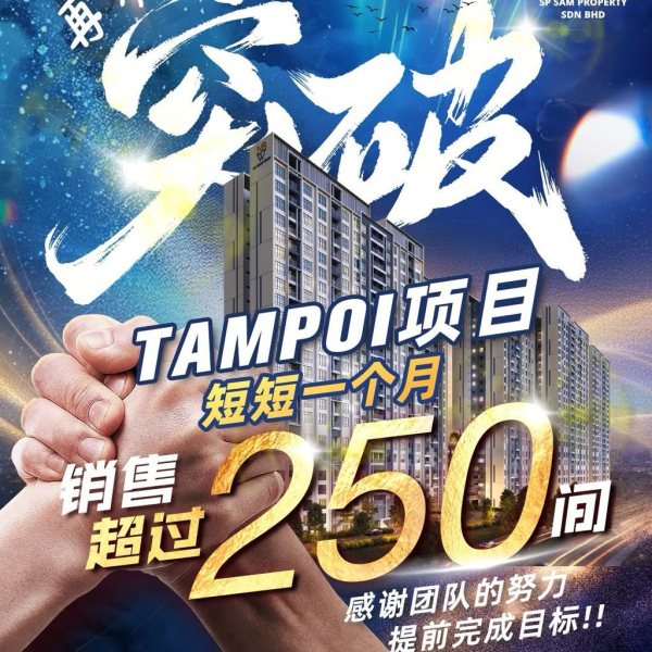 Proven Success | TAMPOI Project Surpasses 250 Units Sold in Just One Month!